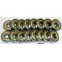 Skate Bearings Armored