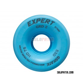 Kürlaufen Rollen QSkate Expert Blau GRD2